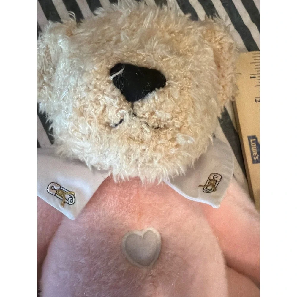 Dakin Baby Bear Hugs for Cancer Pink Teddy Bear Plush Heart Collar 17563 12